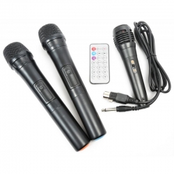Mobilny zestaw nagłośnieniowy z mikrofonami Vonyx ST100 MK2